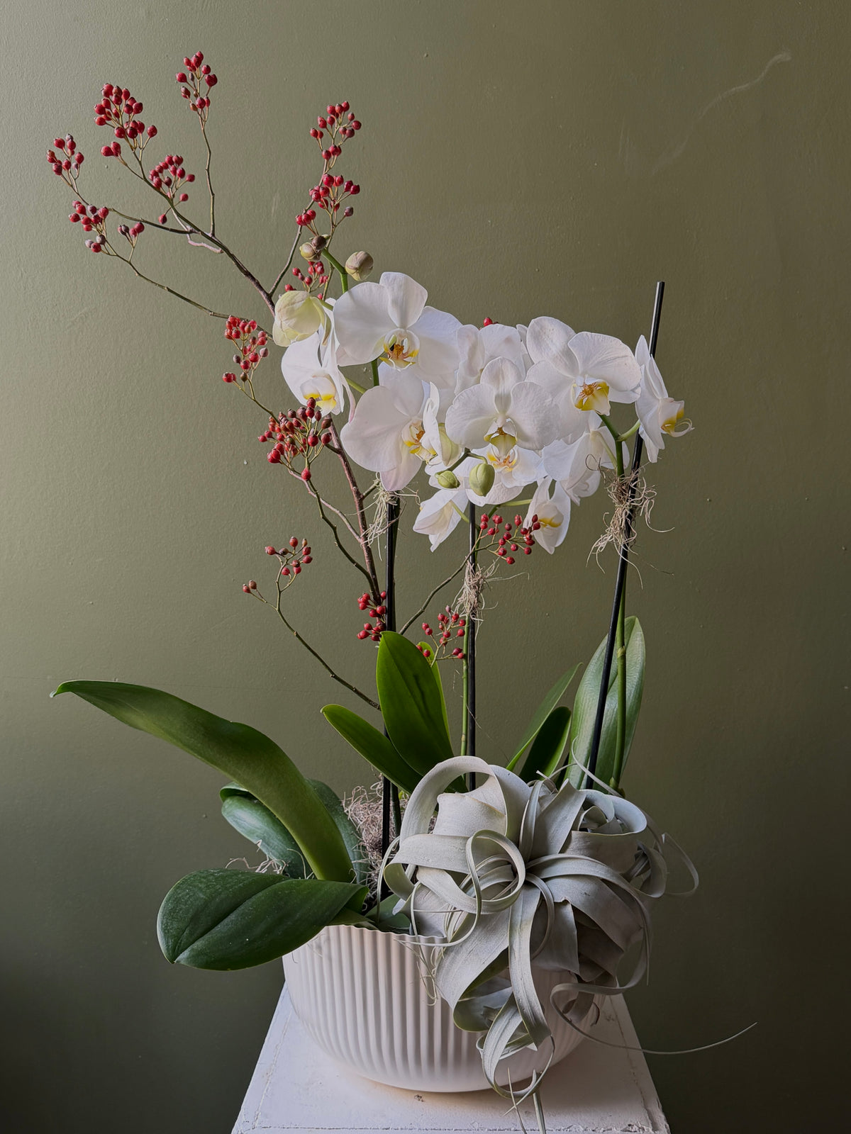 Orchid Planter