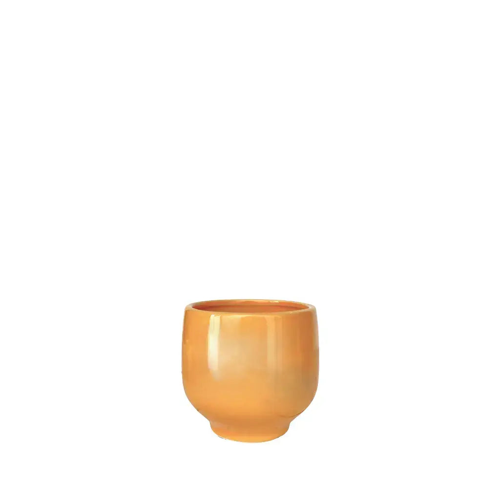 Ellis Pot