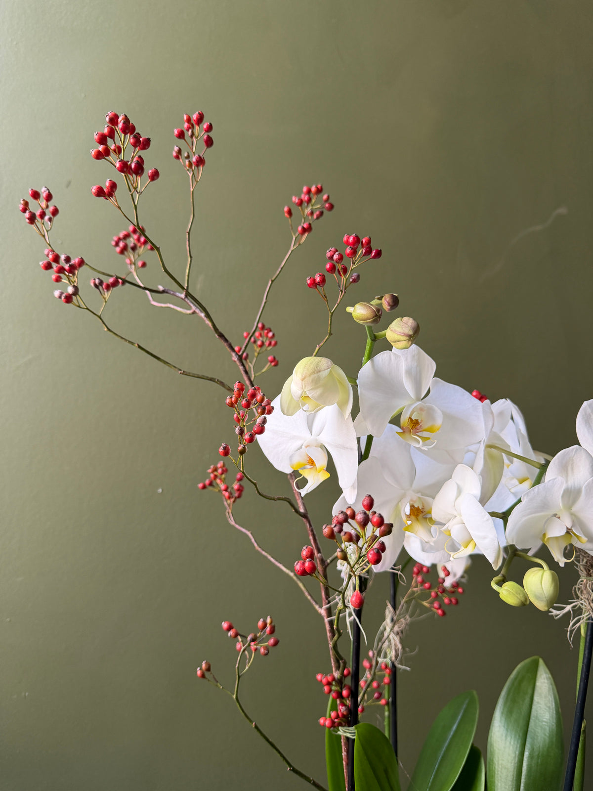 Orchid Planter