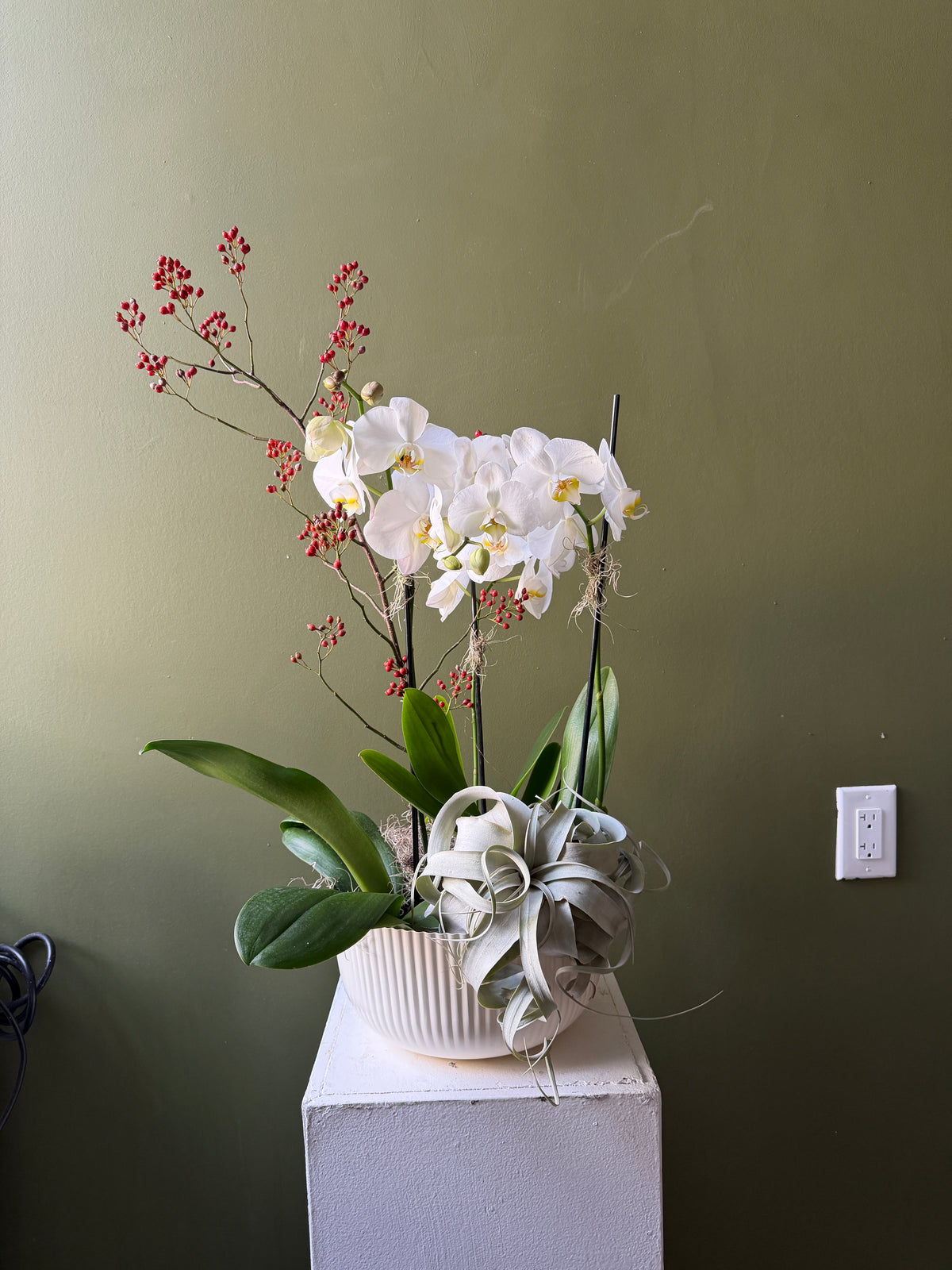 Orchid Planter