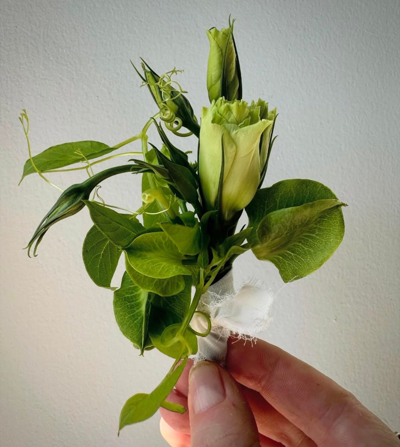 Designers Choice Boutonniere